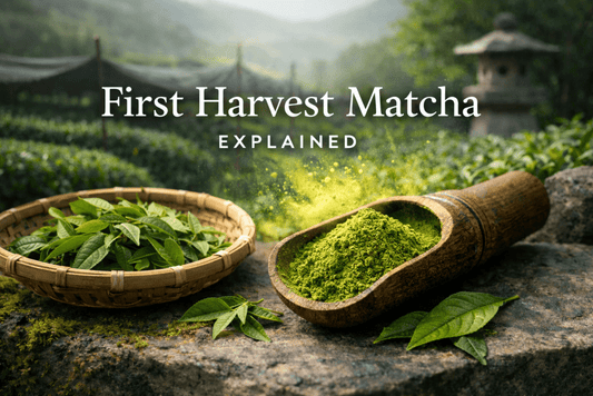 First Harvest Matcha Explained - NOA MATCHA