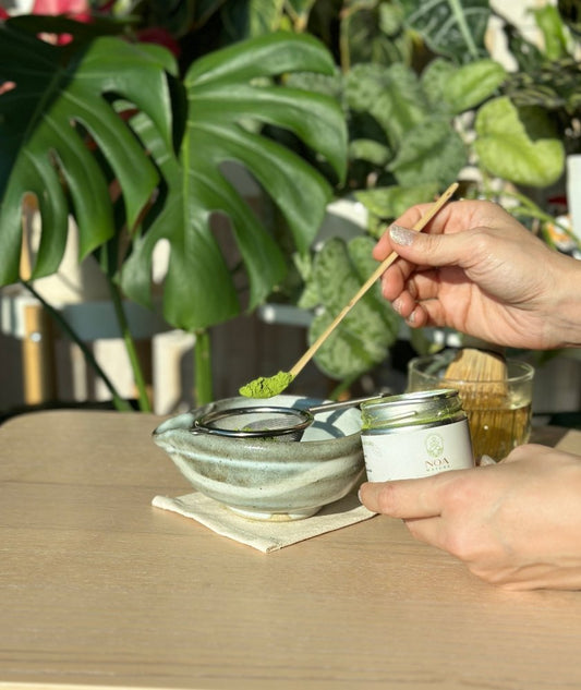 Tropical Bliss: Creamy Coconut Mango Matcha Smoothie (Vegan Option) - NOA MATCHA