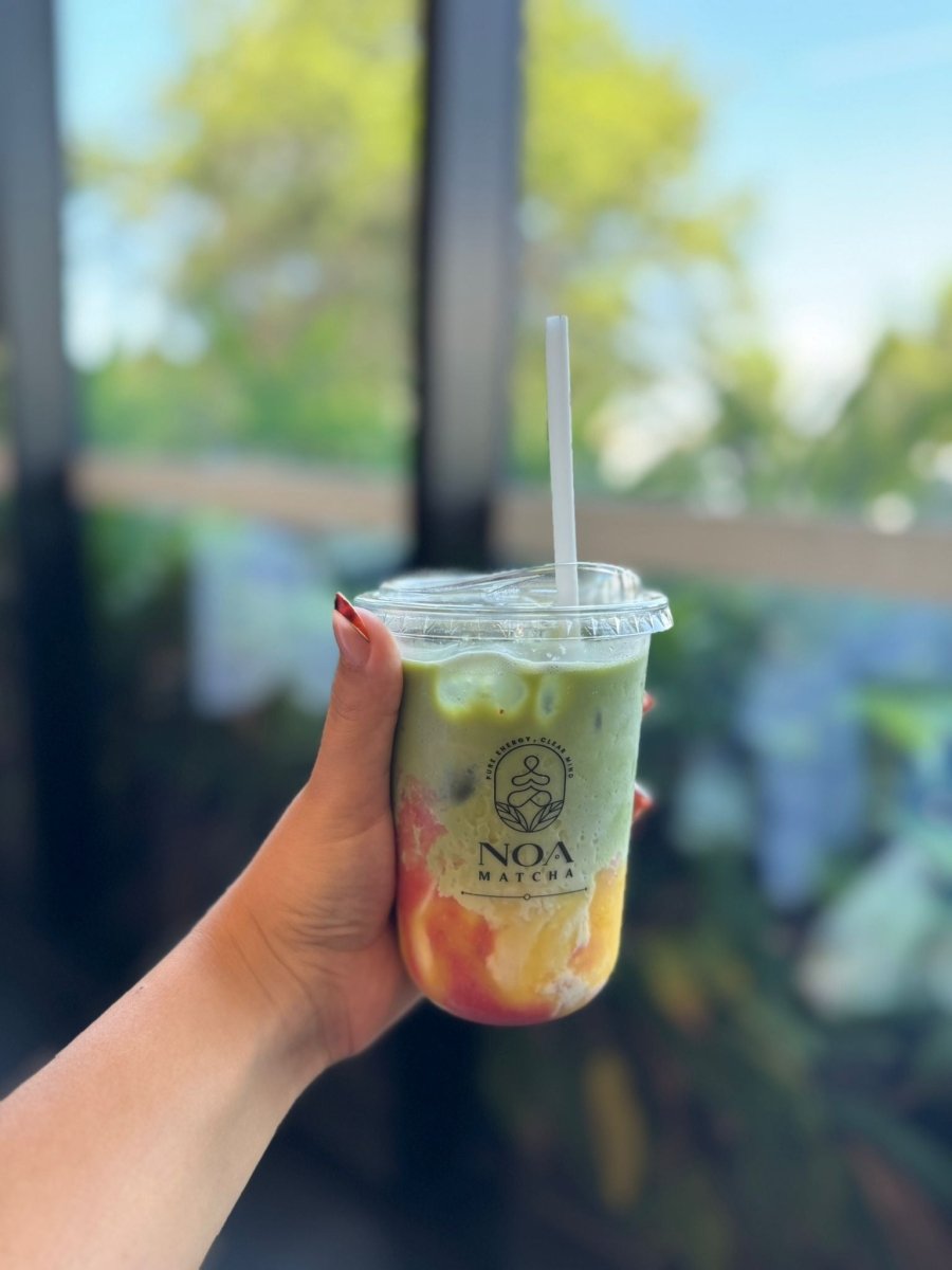  - noamatcha - matcha - tea - ceremonial - 2025 - first - harverst - Ippoda - uji - kyoto - japan