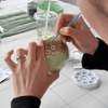 - noamatcha - matcha - tea - ceremonial - 2025 - first-harverst-Ippoda-uji-kyoto-japan