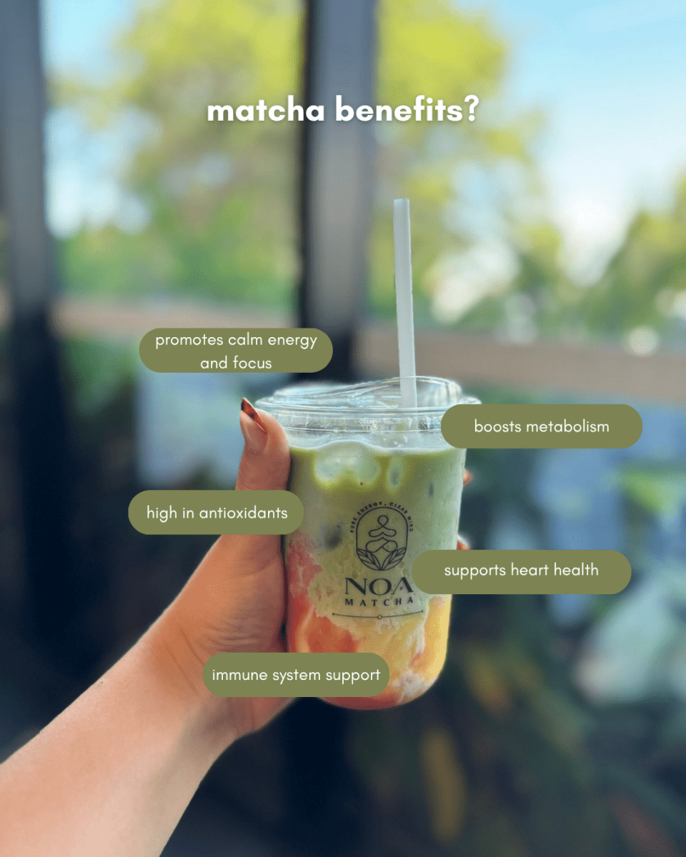  - noamatcha - matcha - tea - ceremonial - 2025 - first - harverst - Ippoda - uji - kyoto - japan